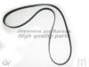 ASHUKI VM5-1800 V-Ribbed Belts